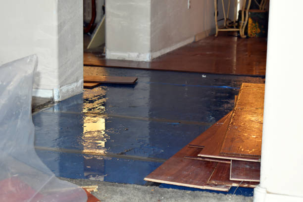 Professional Water Damage Restoration technician working in Thornton, CA